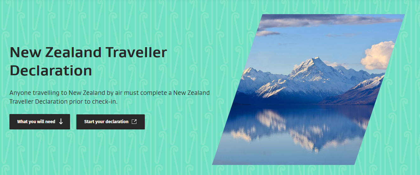 nz govt travel